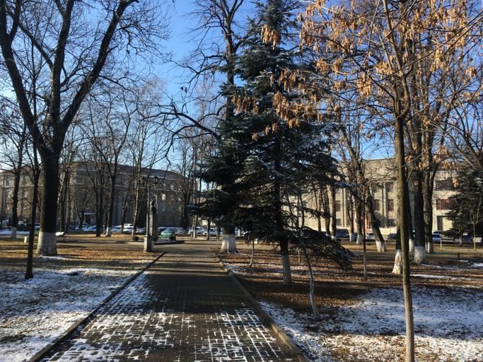 Бюст Александра Пушкина